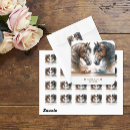 Search for western horse stickers Brown