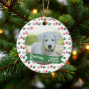 Search for paw christmas tree decorations Dog
