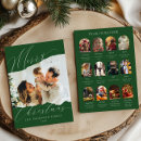 Search for 12 photo christmas cards What a year