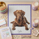 Search for chocolate lab puzzles Brown