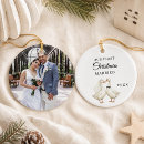 Search for goose christmas tree decorations Watercolor
