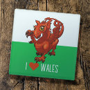 Search for dragon coasters Y ddraig goch