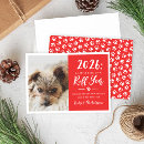 Search for canine christmas cards Dogs
