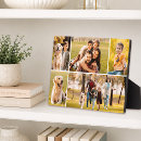Search for simple plaques Photography