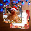 Search for chicken christmas cards Hen