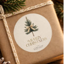 Search for pine stickers Merry christmas