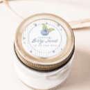 Search for blueberry fruit stickers Blueberry baby shower