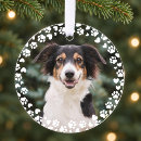 Search for dog remembrance Simple