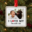 Search for laboratory christmas tree decorations For pets