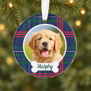 Search for bone christmas tree decorations Pet dog