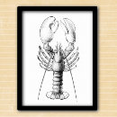 Search for lobster illustration posters Sea