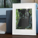 Search for panther posters Wild animal