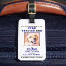 Search for service travel accessories Ada