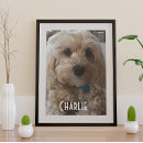 Search for pet portraits Memories