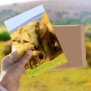 Search for elephant calf postcards Animal
