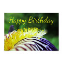 Search for bearded iris cards Flower