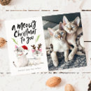 Search for cute cat christmas cards Typography