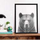 Search for black and white bear posters Animal