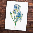 Search for iris flower cards Nature