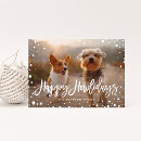 Search for happy howlidays cards Pet