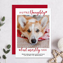Search for cute christmas cards pet