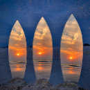 Search for swimming art Florida