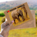 Search for elephant calf postcards Animal