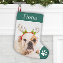 Search for english bulldog christmas stockings Dogs