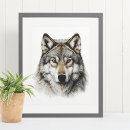 Search for wolf head posters Watercolor