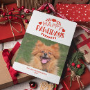Search for cute dog photos photo cards Dog animal lover