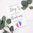 Search for baby girl pregnancy announcement cards Grandparents