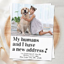 Search for i have moved invitations Dog lover