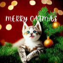 Search for purrfect christmas cards Cute