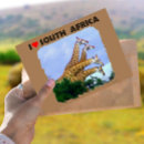 Search for four animals postcards Wildlife