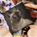 Search for siamese cat cushions Feline