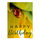 Search for ladybug birthday cards Whimsical