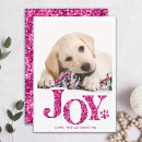 Search for hot dog christmas cards Pet