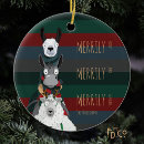 Search for duck christmas tree decorations Winter