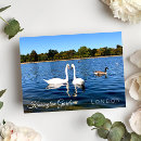 Search for round shape postcards Nature