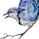 Search for blue jay birds stickers Animals