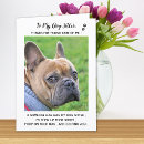 Search for funny animal cards invites pet