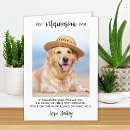 Search for funny animal photos cards Cute