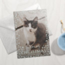 Search for grey christmas cards Cat