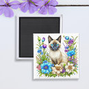 Search for siamese magnets Blue eyes