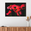 Search for red poppy canvas prints Blossom