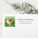 Search for saints return address labels Pets