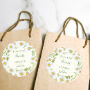 Search for wild flowers stickers Daisy