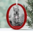 Search for champs christmas tree decorations Funny