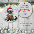 Search for funny cat gifts Define naughty