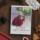 Search for funny dachshund christmas cards Dog